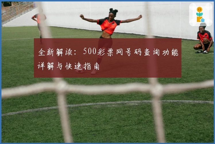 全新解读：500彩票网号码查询功能详解与快速指南