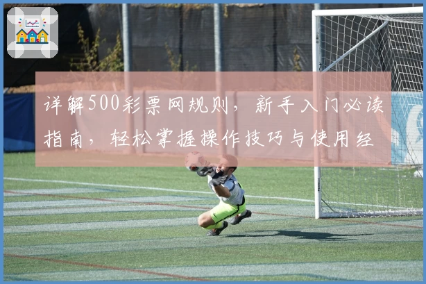 详解500彩票网规则，新手入门必读指南，轻松掌握操作技巧与使用经验