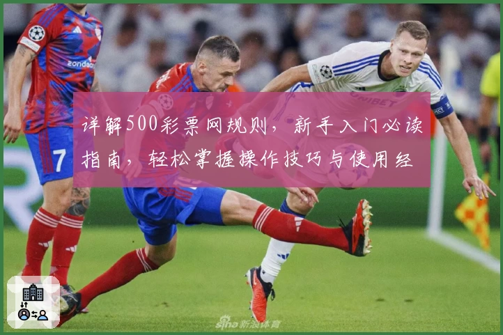 详解500彩票网规则，新手入门必读指南，轻松掌握操作技巧与使用经验