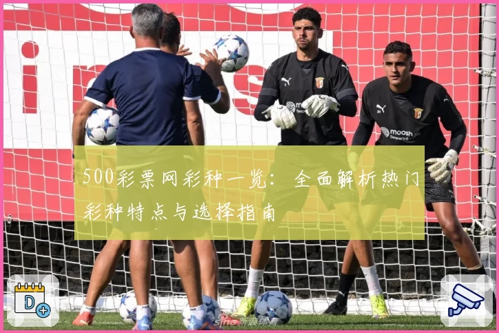 500彩票网彩种一览：全面解析热门彩种特点与选择指南