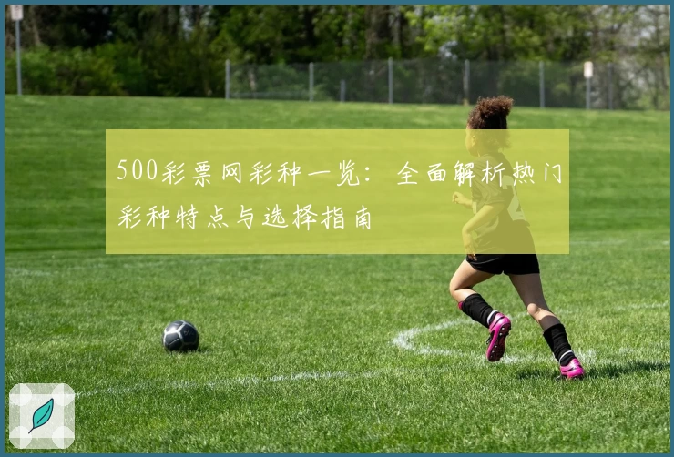 500彩票网彩种一览：全面解析热门彩种特点与选择指南