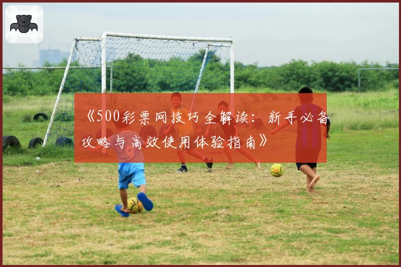 《500彩票网技巧全解读：新手必备攻略与高效使用体验指南》